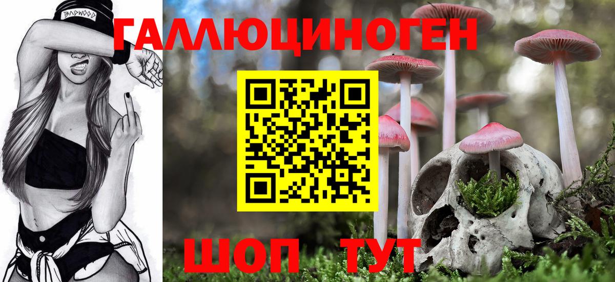 Псилоцибиновые грибы мухоморы  Вход с VPN  Красноперекопск 